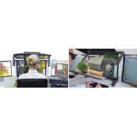 Schneider Digital 3D PluraView Passive 3D Stereo Monitors
